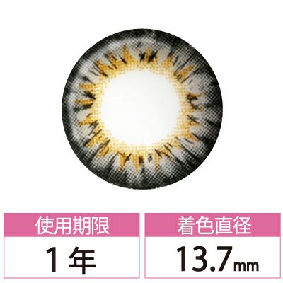 ベッセ グレー